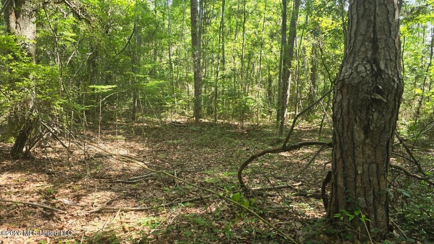 Property from Addison Road - KW - State Line, Mississippi, 39362