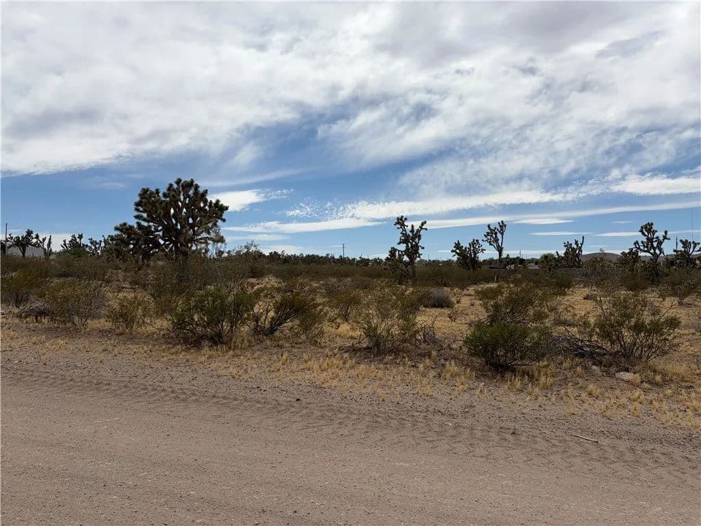 Property from 17773 Laurel Drive - KW - Dolan Springs, Arizona, 86441