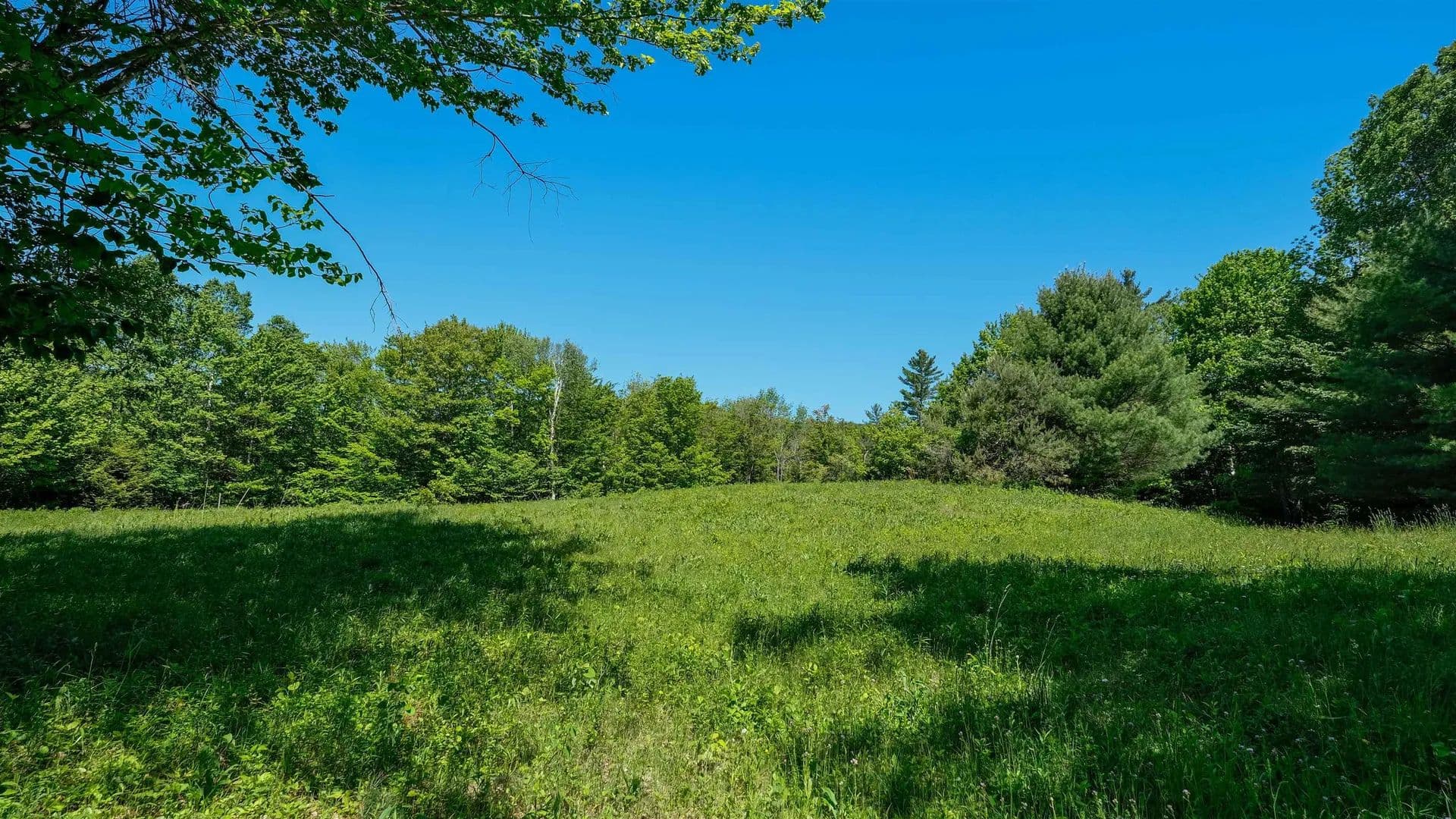 Property from 00 Rod and Gun Club Road - KW - Ludlow, Vermont, 5149