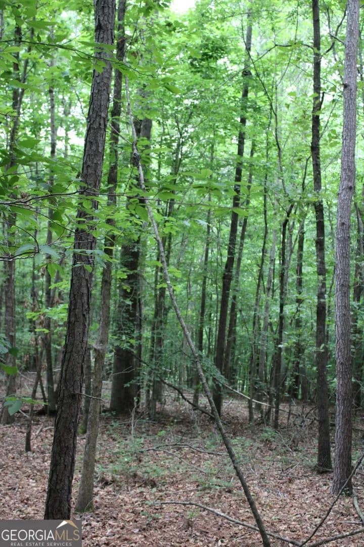 10.47 Acres of Land for Sale in Hull, Georgia - Hull, Georgia, 30646