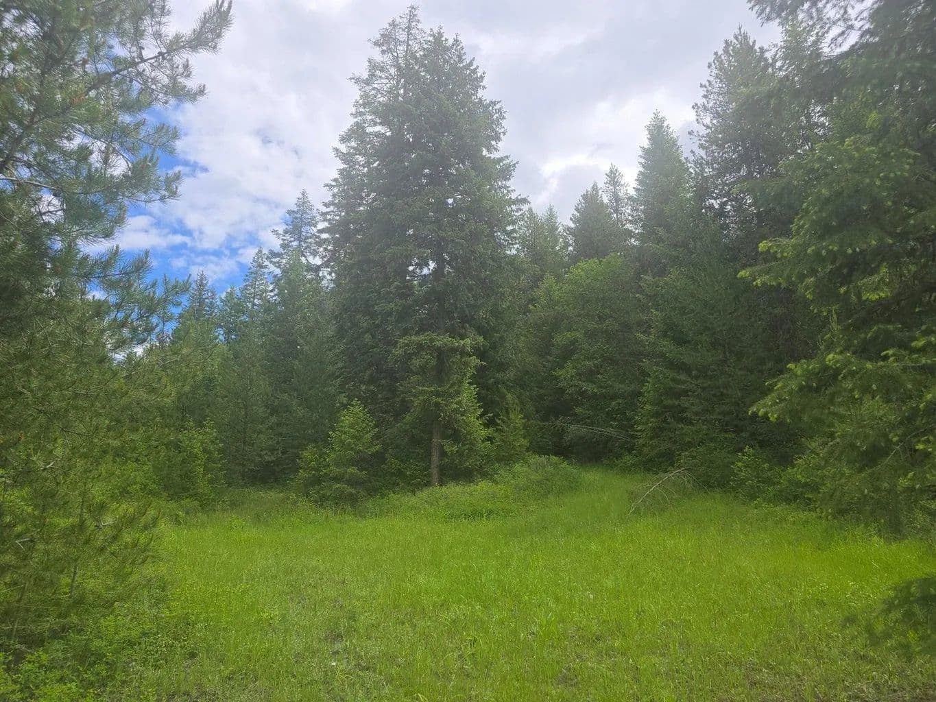 Property from XXX Clugston Onion Creek Rd - KW - Colville, Washington, 99114