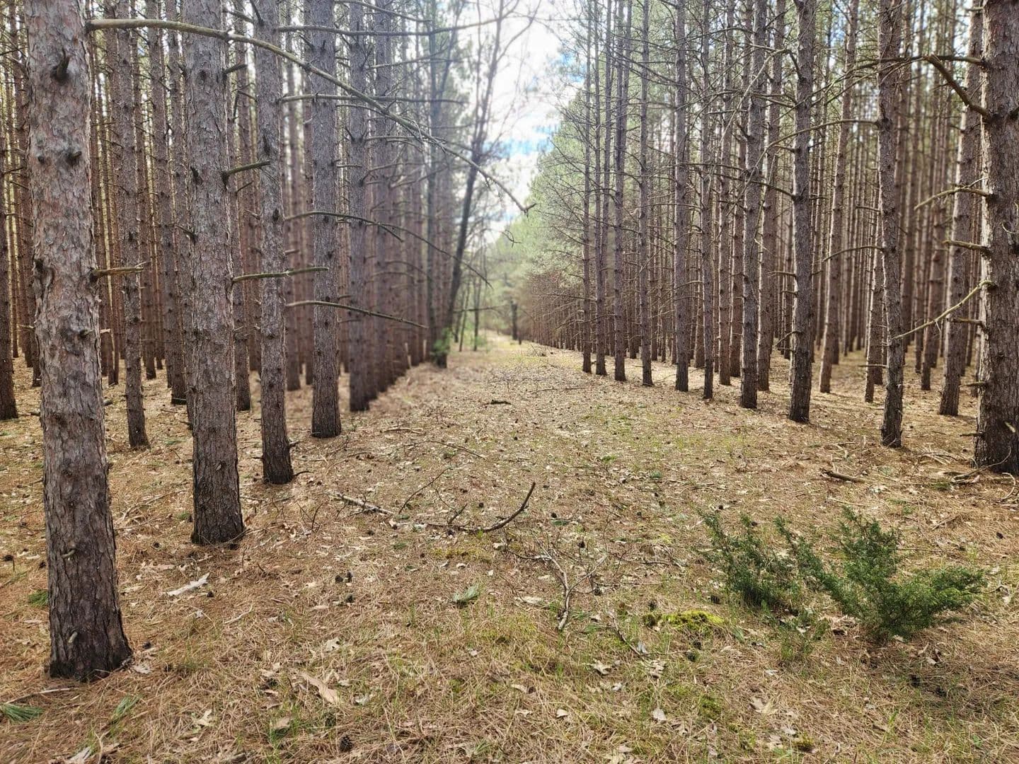 Property from 2398 Bittersweet Drive - KW - land for sale