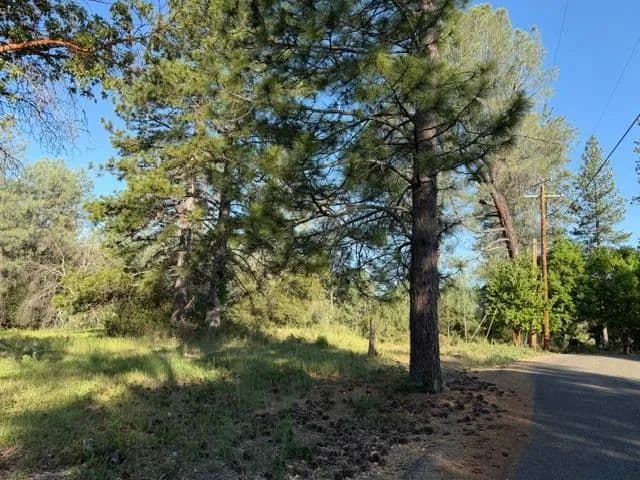 Property from 9030 Orval Beckett Court - KW - Placerville, California, 95667