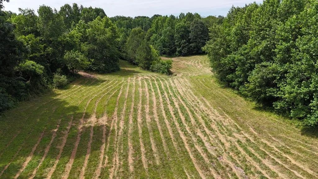Property from 0 Sulphur Creek Road - KW - Big Sandy, Tennessee, 38221