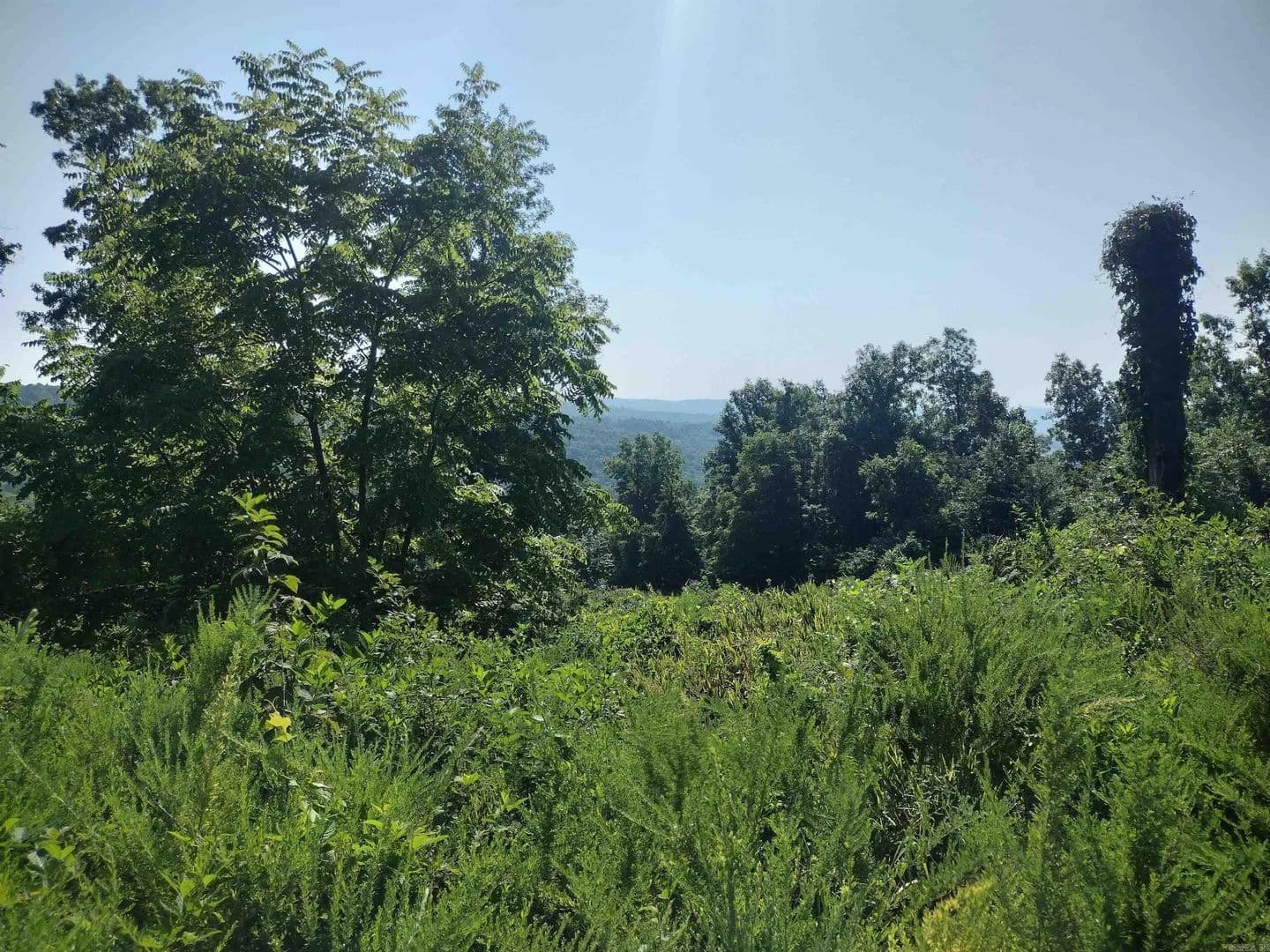 3.01 Acres of Land for Sale in Fox, AR - Fox, Arkansas, 72051