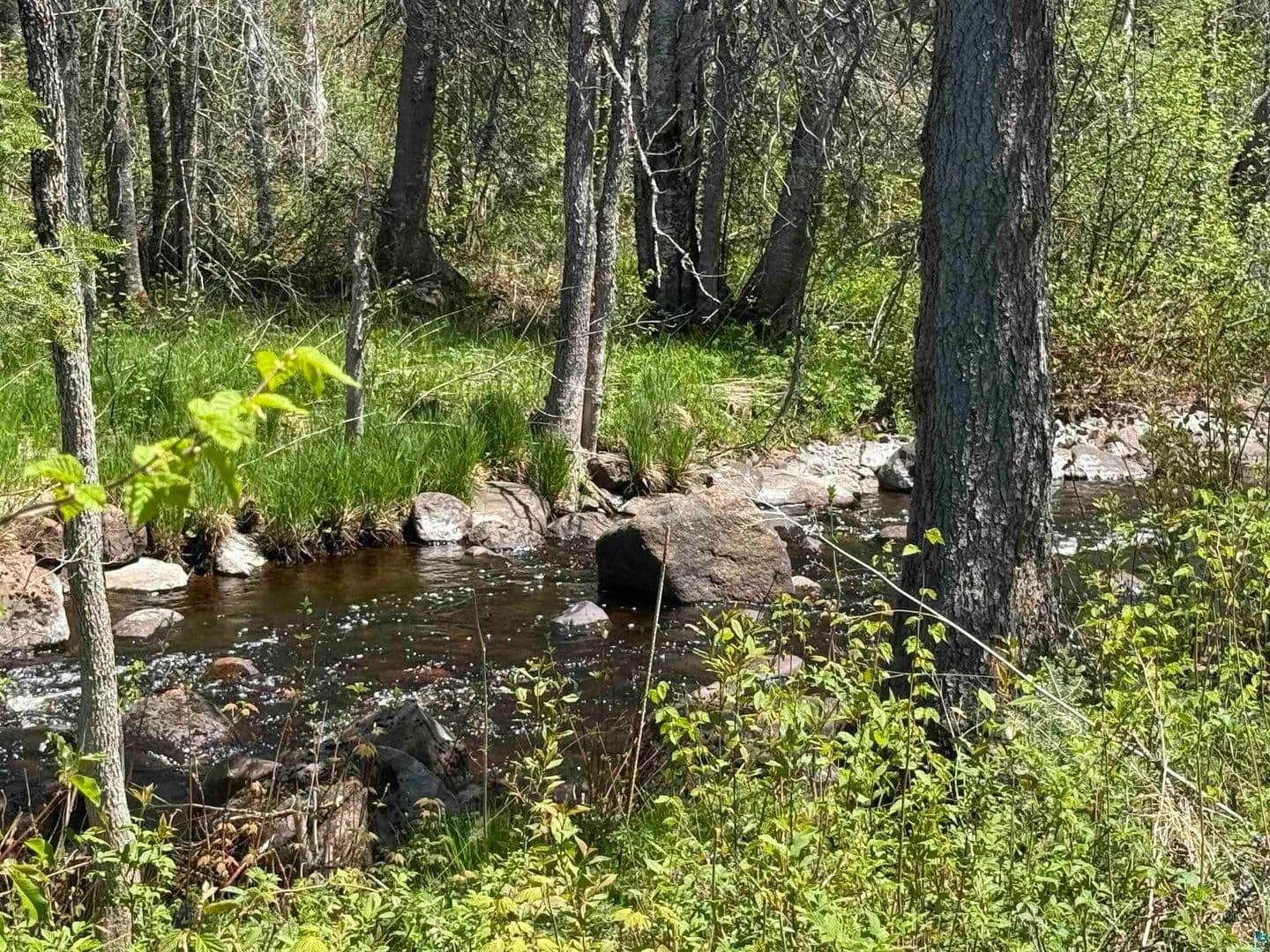 13.53 Acres of Land for Sale in Finland, Minnesota - Finland, Minnesota, 55603