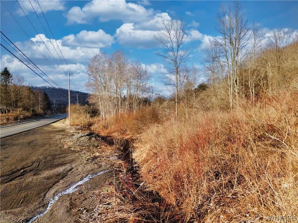6.53 Acres of Land for Sale in Ellicottville, NY - Ellicottville, New York, 14731