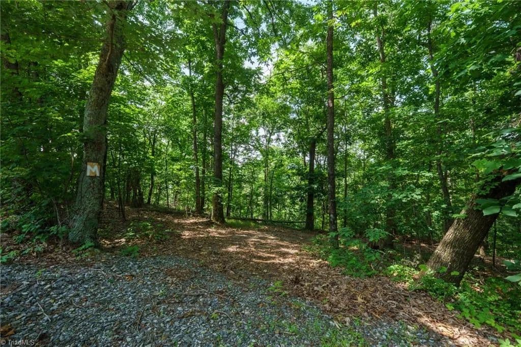 Property from 00 Hendren Road - KW - Moravian Falls, North Carolina, 28654