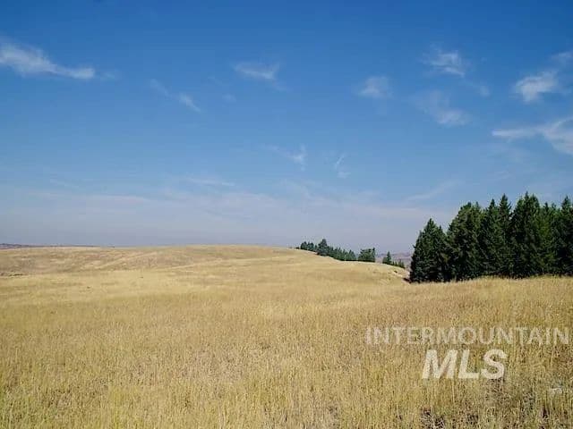 374.07 Acres of Land for Sale in Council, Idaho - Council, Idaho, 83612