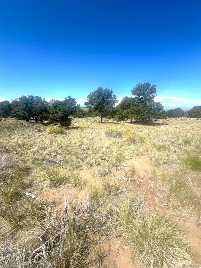 Lots & Land-Other in Crestone - Crestone, Colorado, 81131