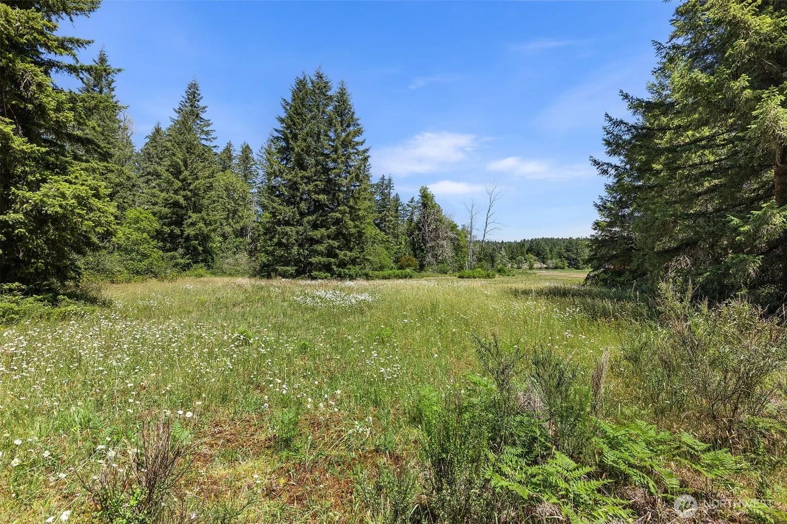 Property from 22030 Peissner Road SE - KW - Yelm, Washington, 98597
