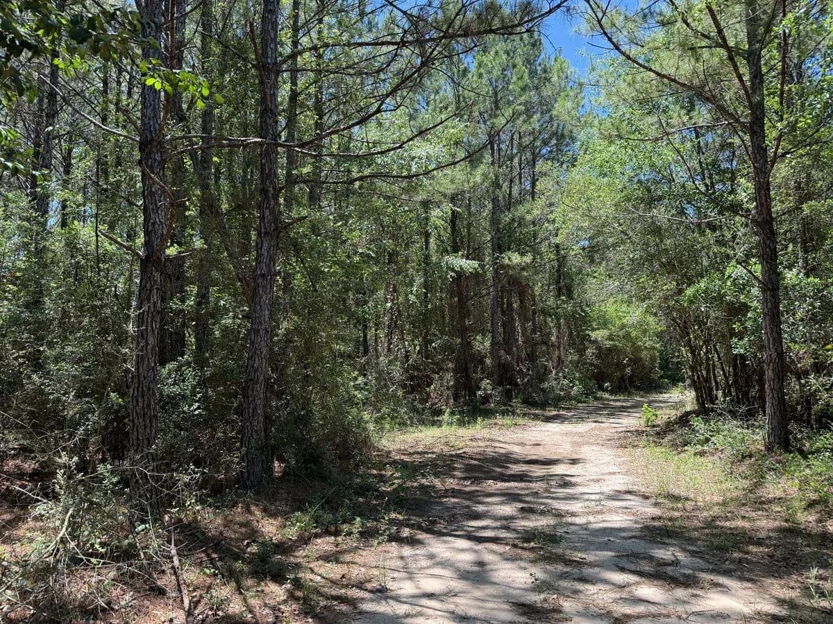 Gilberts - Chipley, Florida, 32428
