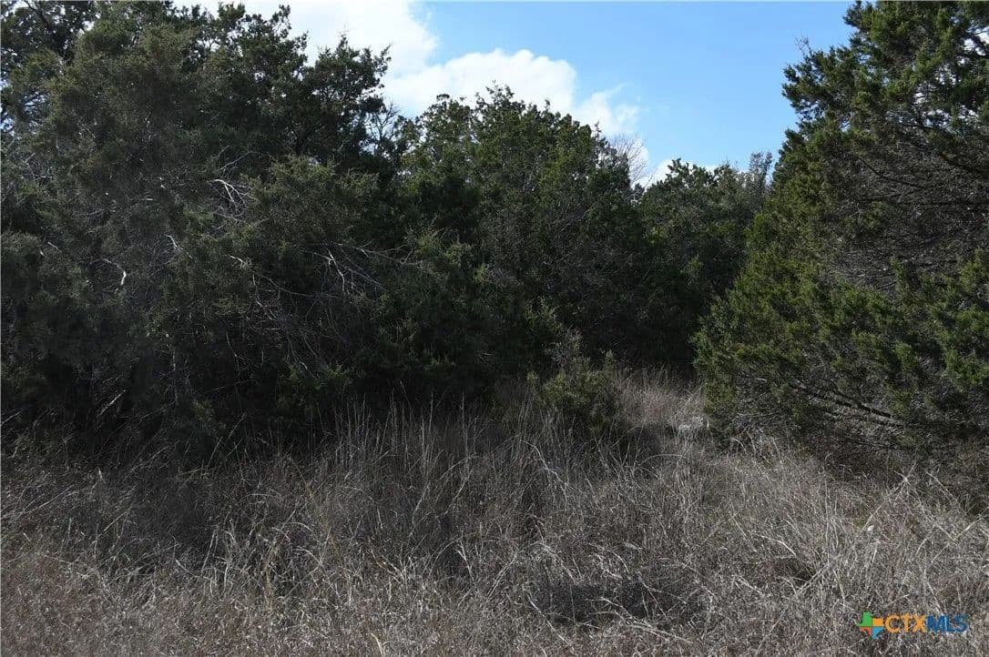 0.31 Acres of Land for Sale in Spring Branch, TX - Spring Branch, Texas, 78070