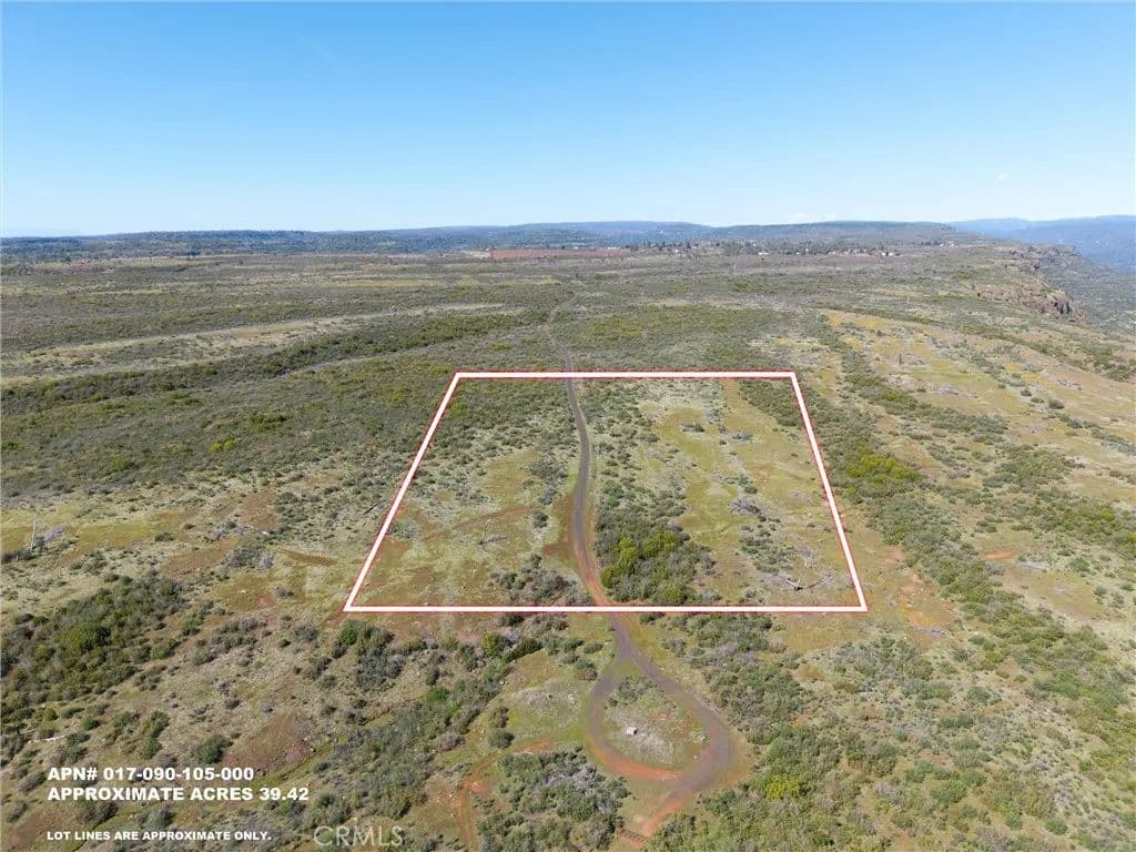 39.5 Acres of Land for Sale in Chico, California - Chico, California, 95928