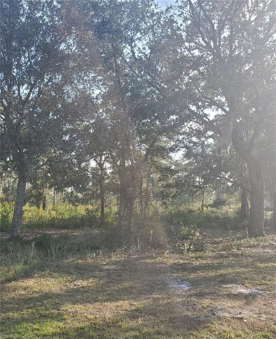 Property from 715 INDIAN LAKE DRIVE - KW - , Florida, 33855