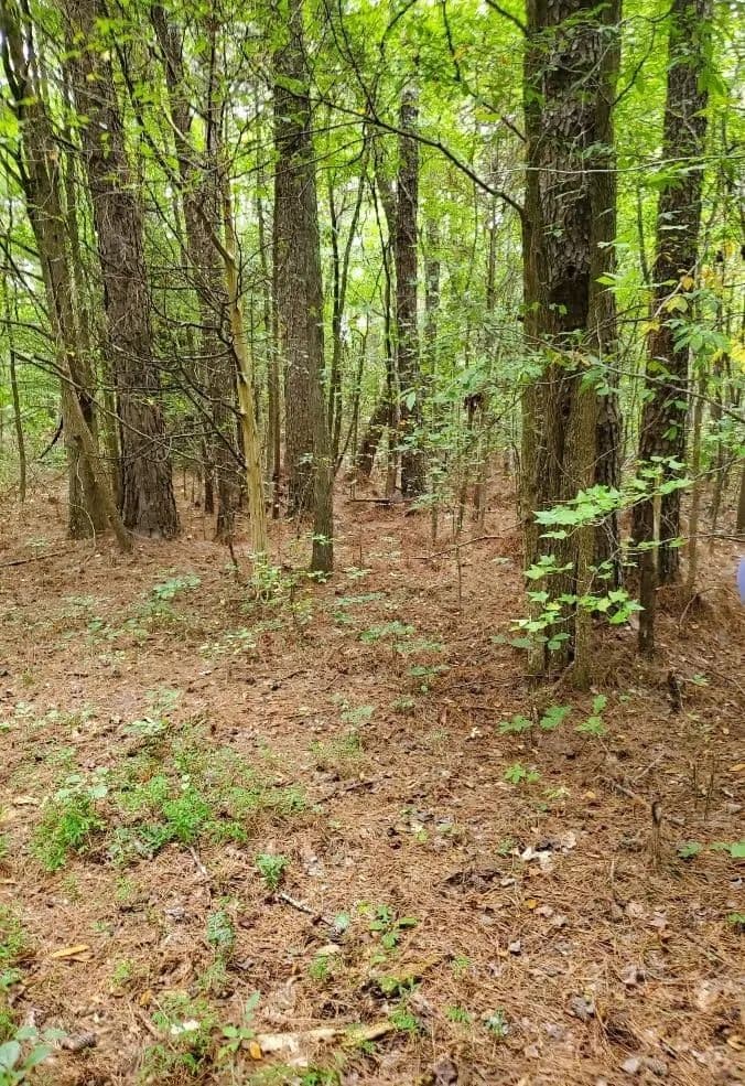 Property from 000 Jones Bend Rd. - KW - Paris, Tennessee, 38242