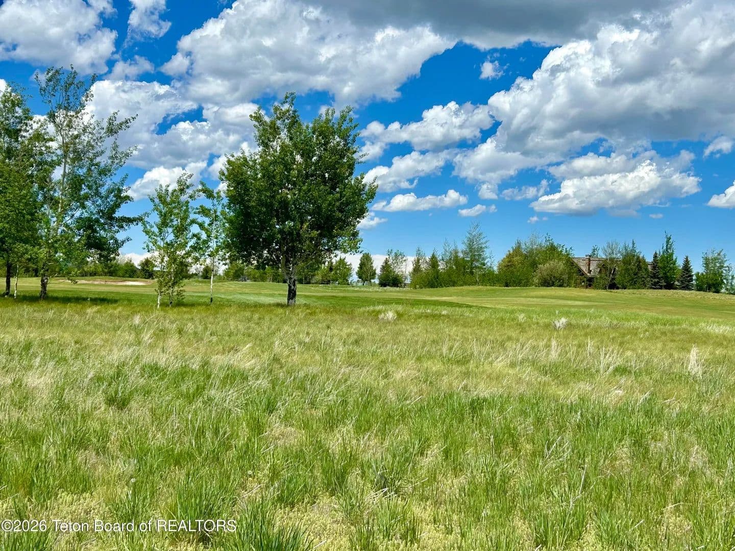 Property from 446 ROYAL ELK Circle - KW - Victor, Idaho, 82055