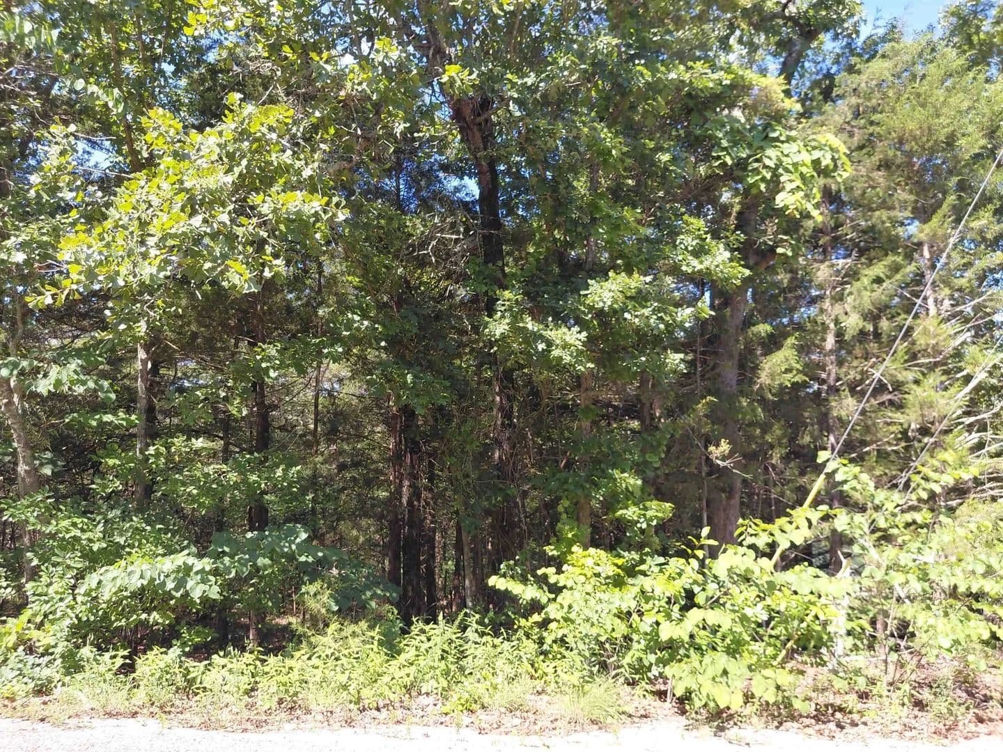 1.15 Acres of Land for Sale in Cherokee Village, Arkansas - Cherokee Village, Arkansas, 72529