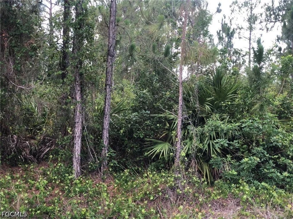 0.5 Acres of Land for Sale in Lehigh Acres, FL - Lehigh Acres, Florida, 33972