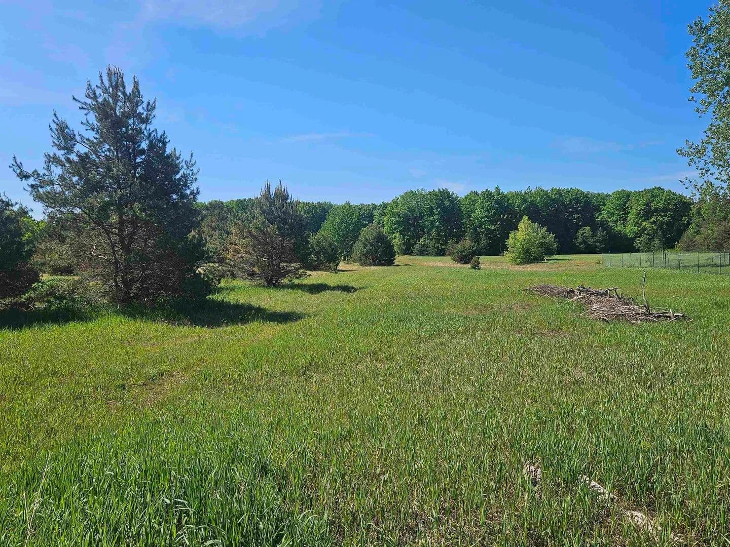 Property from V/L Parcel B SE Grass Lake Road - KW - Michigan, 49646