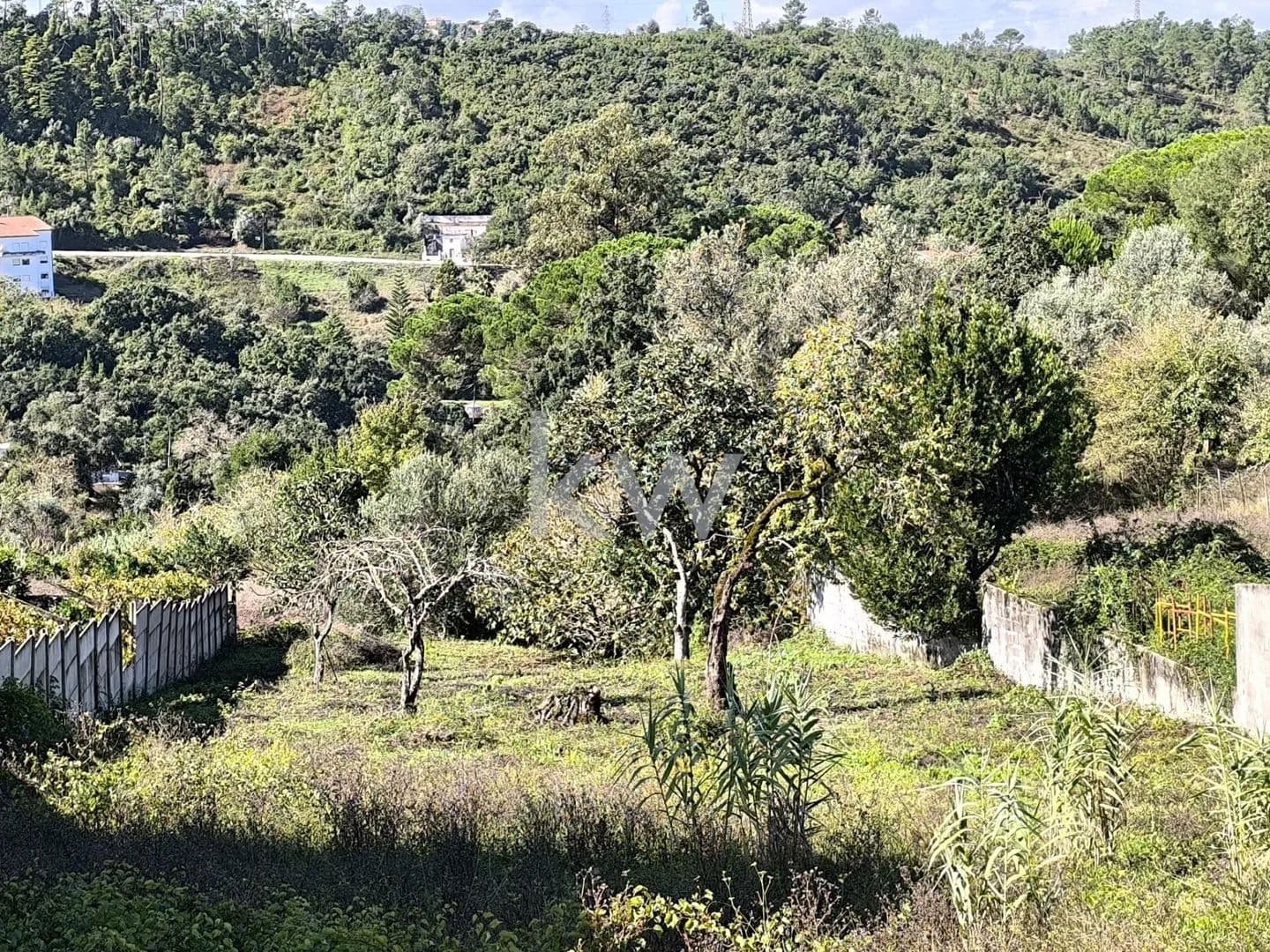1200 Acres of Land for Sale in Santa Clara e Castelo Viegas, Coimbra - land for sale