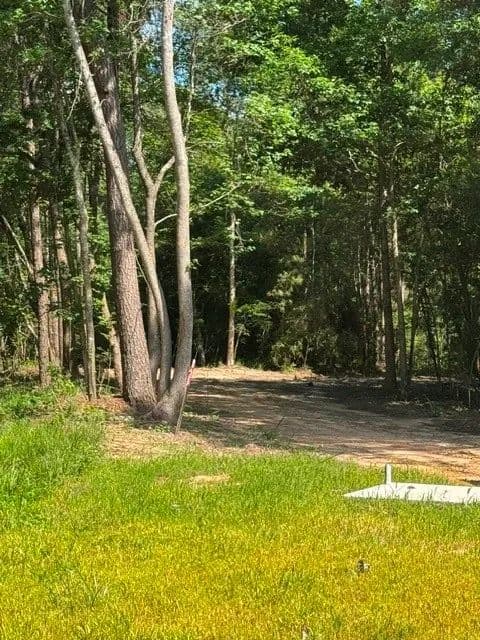 Property from TBD LOT 1 Horace Bonds Road - KW - Livingston, Texas, 77351