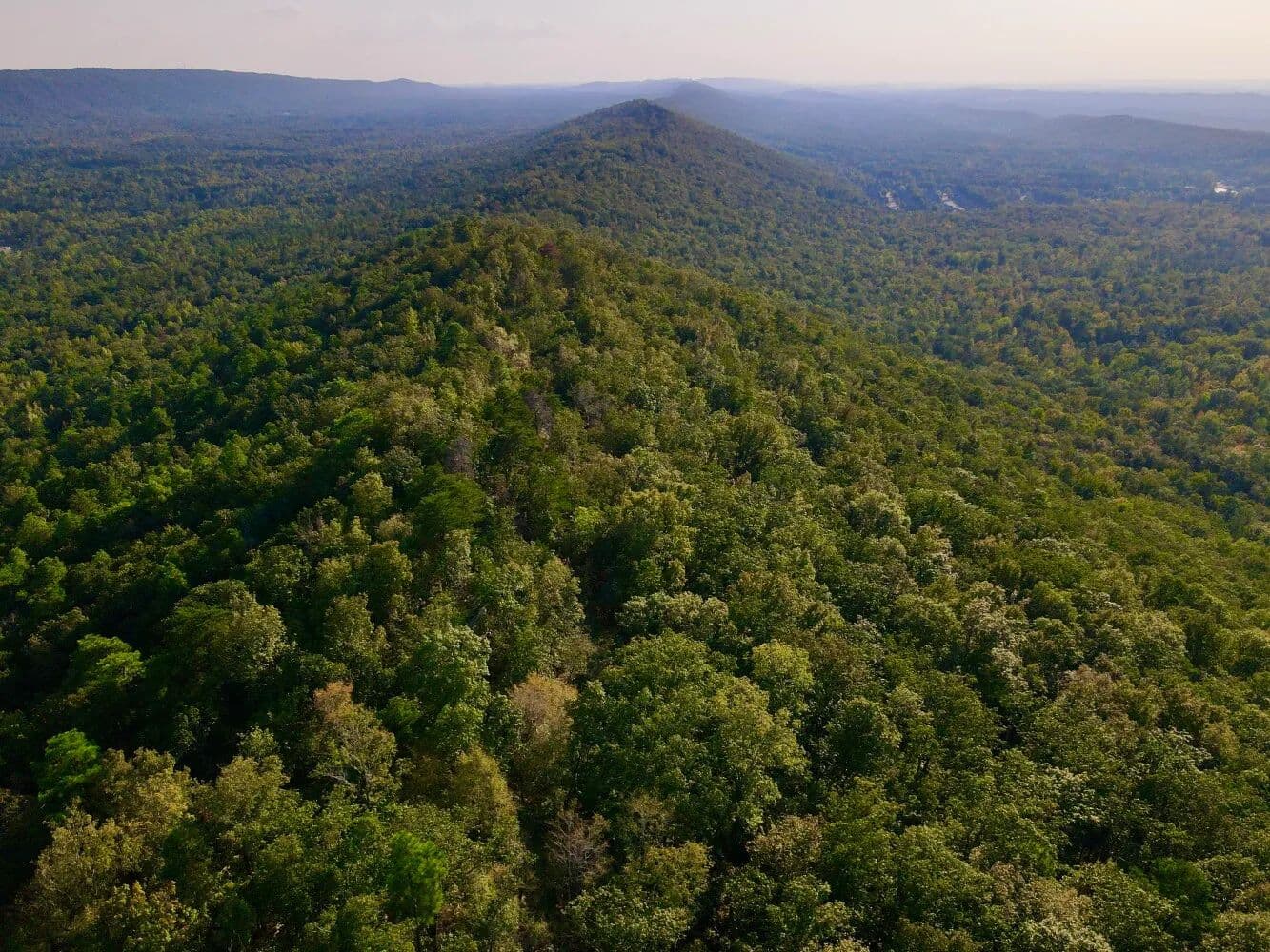 Oak Mountain Home Site / Deer & Turkey Hunting Opportunity - Leeds, Alabama, 35094