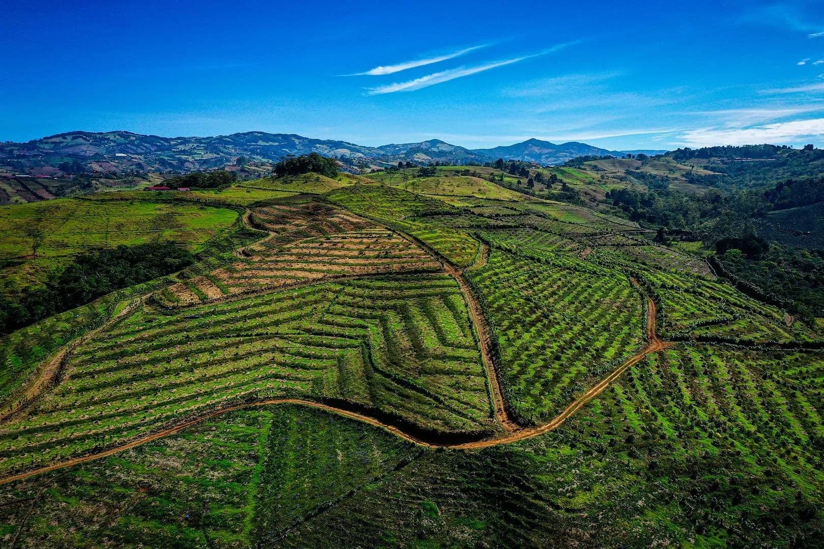 The GlobalTerra - land for sale