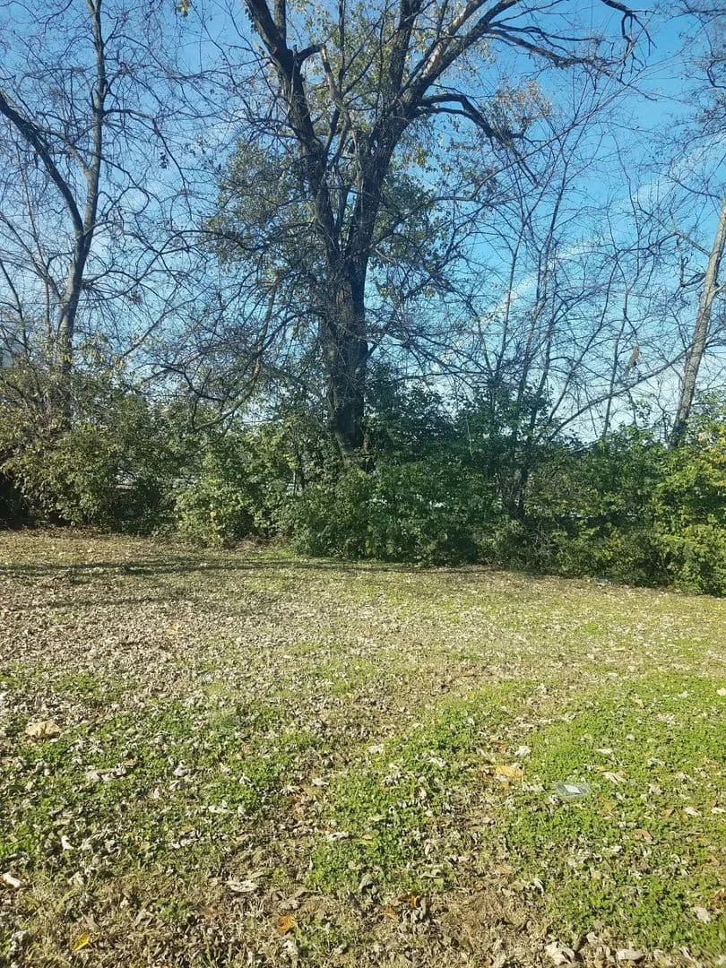 Property from 1817 7th Ave N - KW - Nashville, Tennessee, 37208