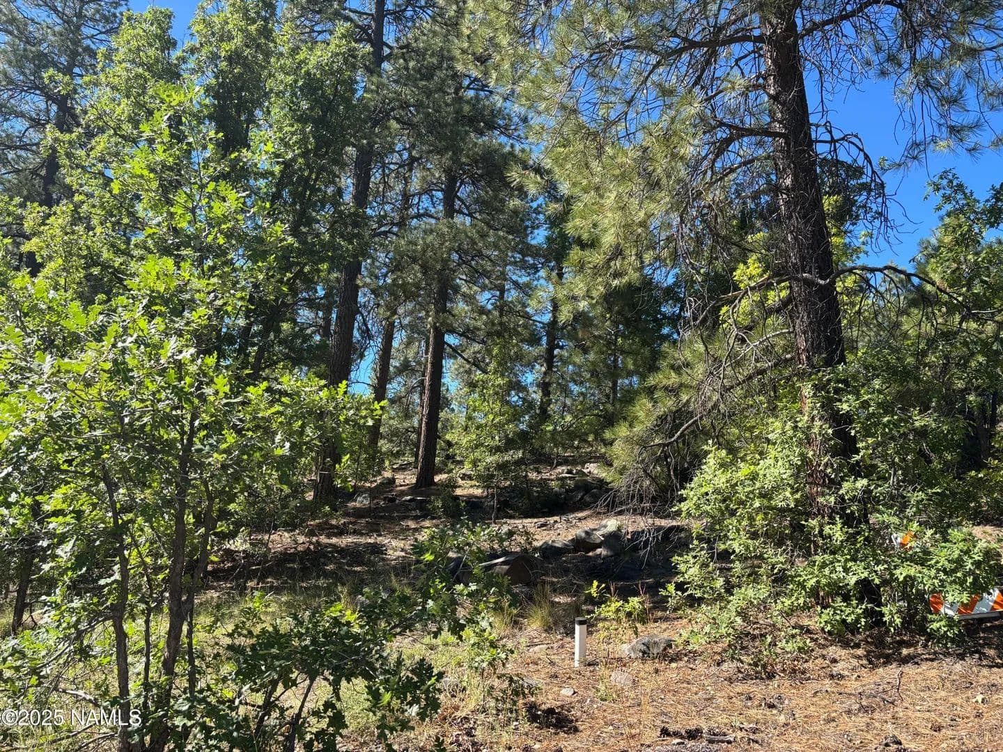 Property from 46 E Oak Drive - KW - Munds Park, Arizona, 86017