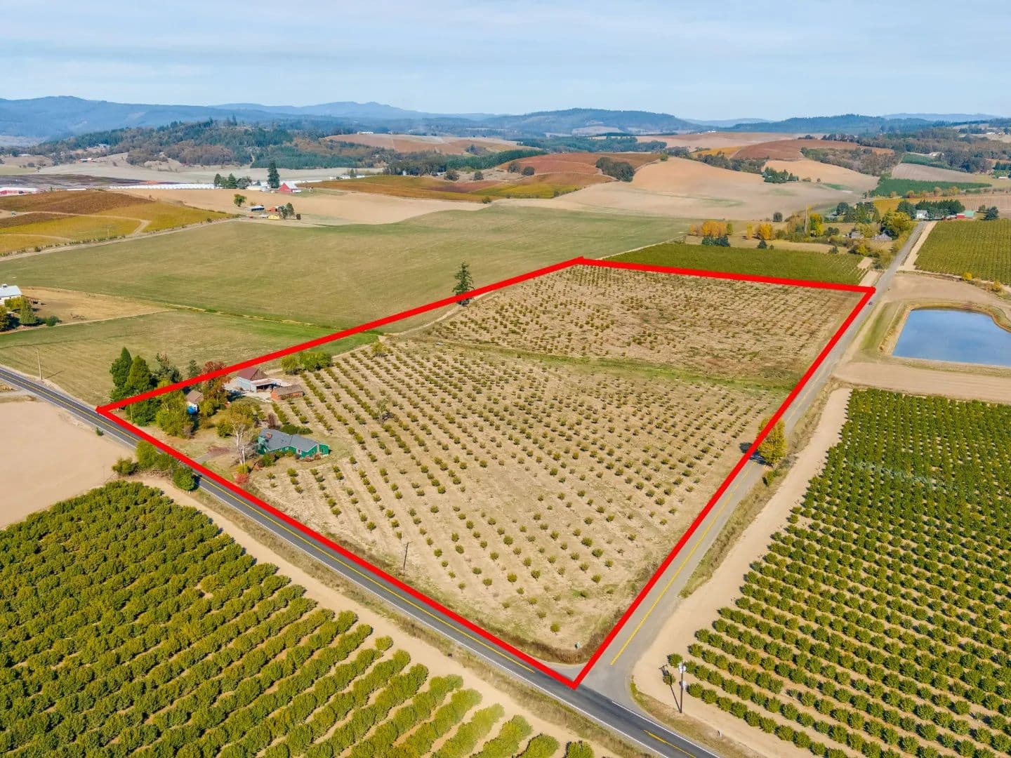 Hazelnut Orchard With Two Homes - land for sale