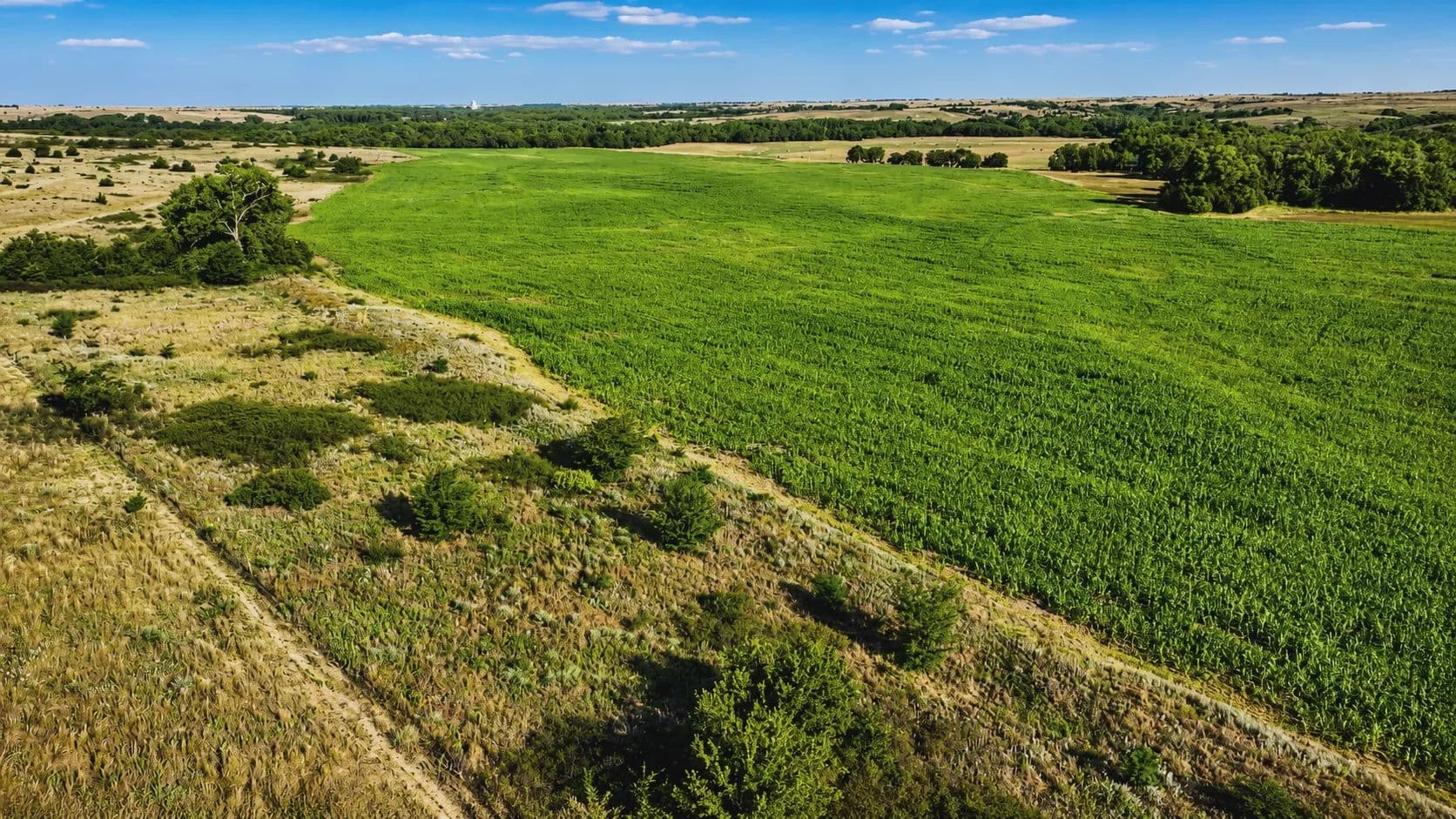 159 Acres of Hunting Land in Wilmore, KS for Sale - Wilmore, Kansas, 67155