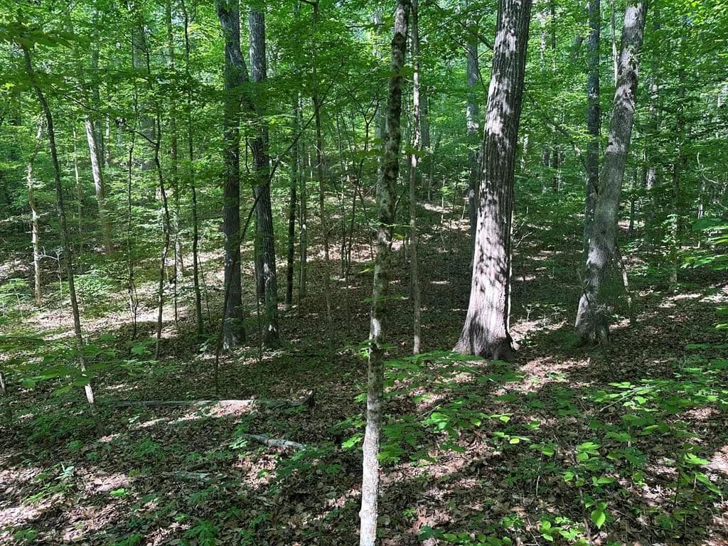 Property from 1.3 Acs Monacarn Court - KW - Clarksville, Virginia, 23927
