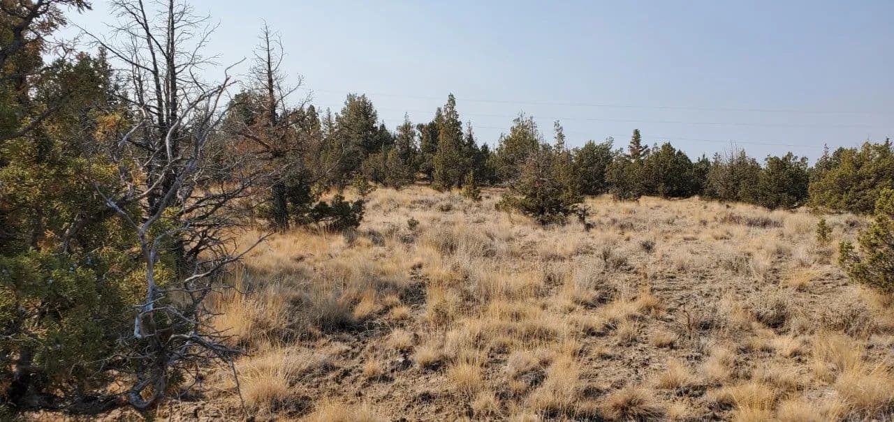 Vacant Land (0-10 Acres) in Prineville - Prineville, Oregon, 97754