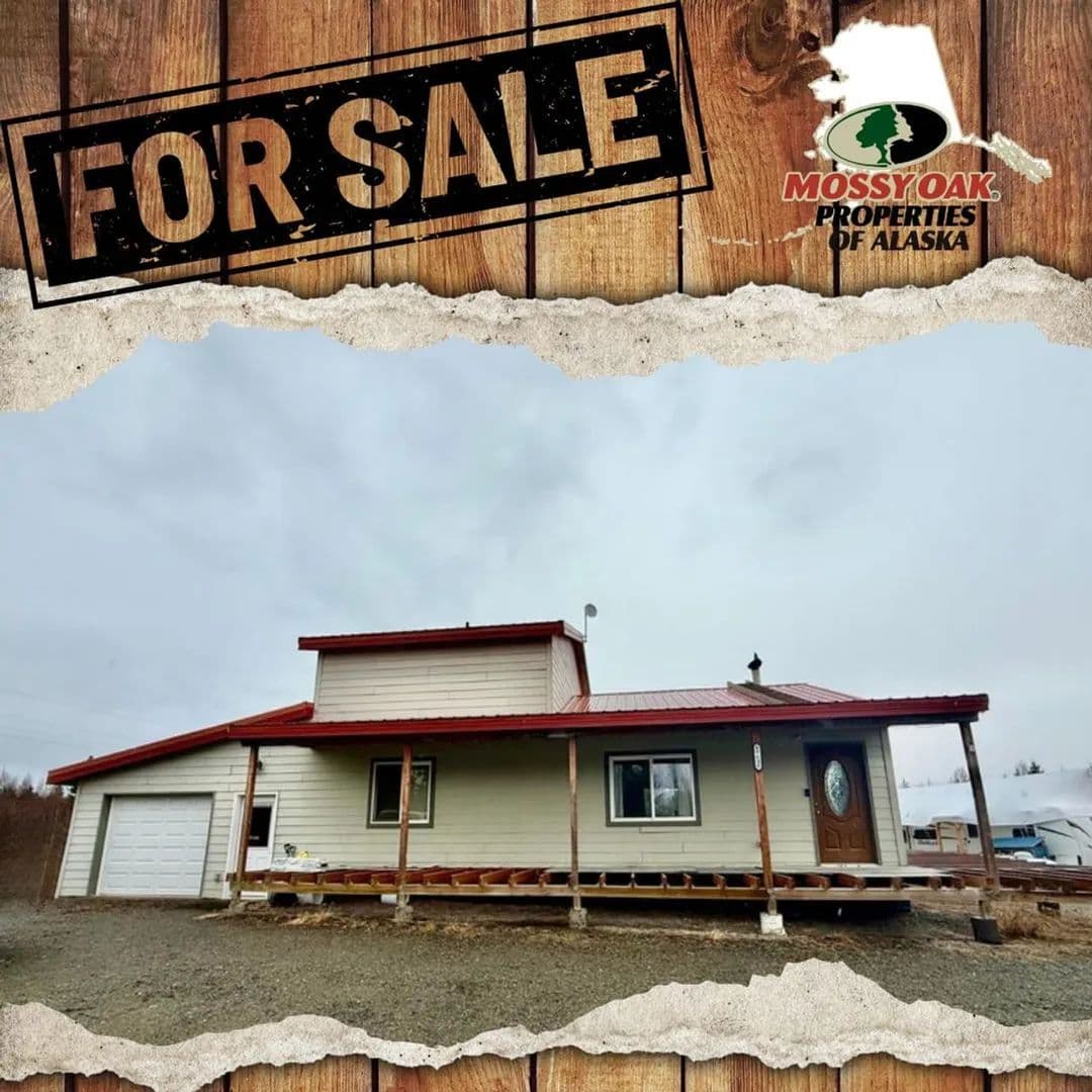 69600 Resch Ave - Anchor Point, Alaska, 99556