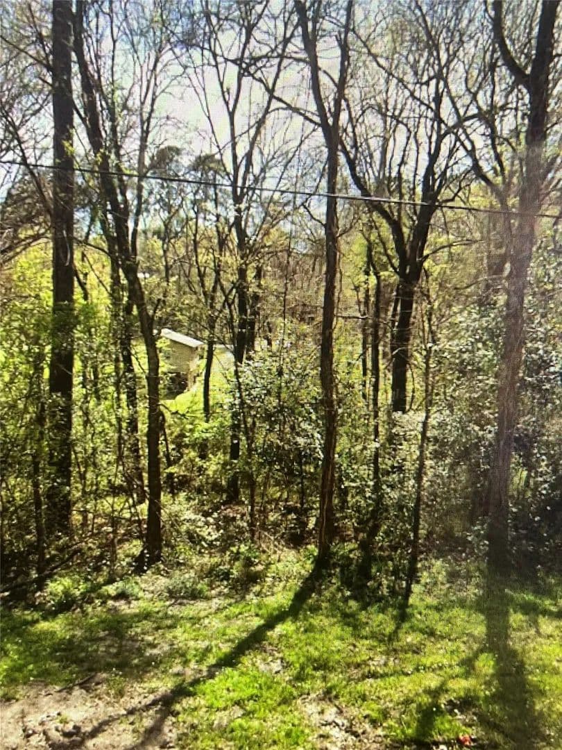 0.17 Acres of Land for Sale in Point Blank, Texas - Point Blank, Texas, 77364