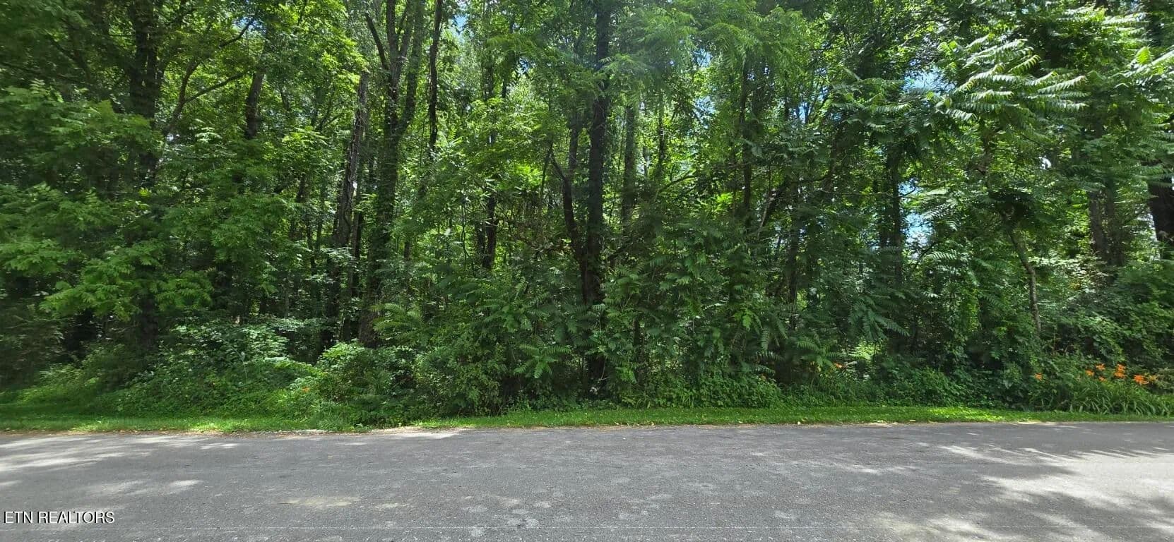 9.4 Acres of Land for Sale in Oneida, Tennessee - Oneida, Tennessee, 37841