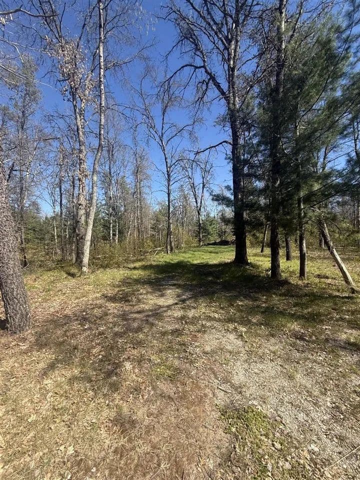 Property from 4097 S Michway - KW - Baldwin, Michigan, 49304