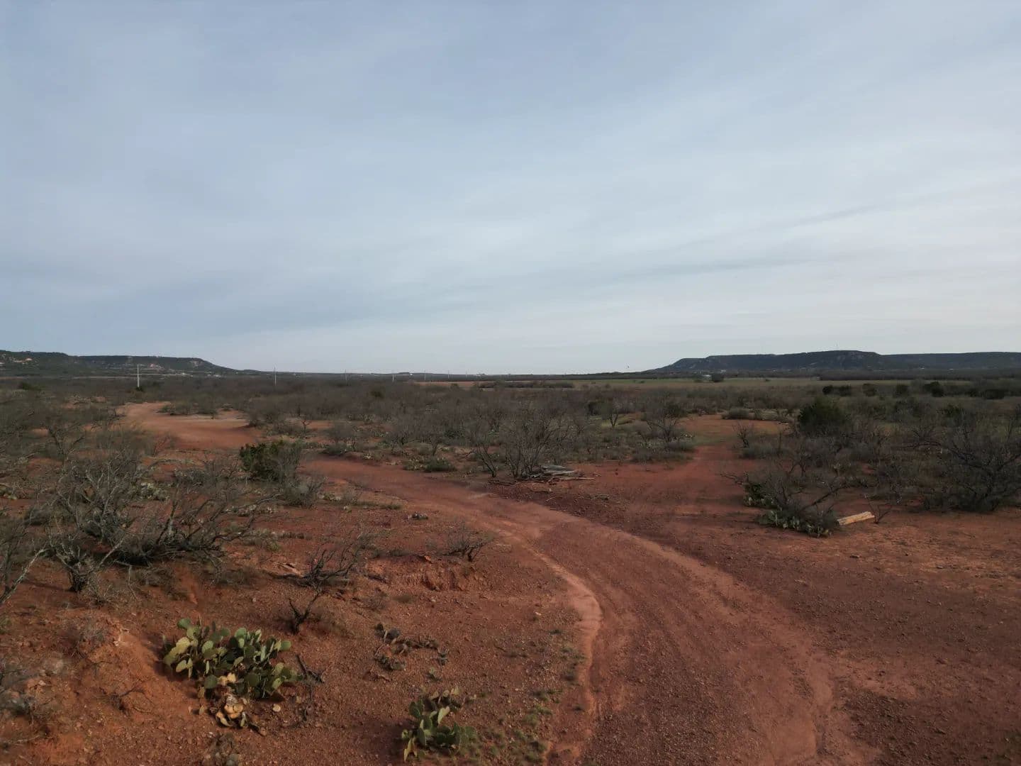 NEW LISTING!!! 80 +/- AC TBD CR 154, Taylor County - Tuscola, Texas, 79562