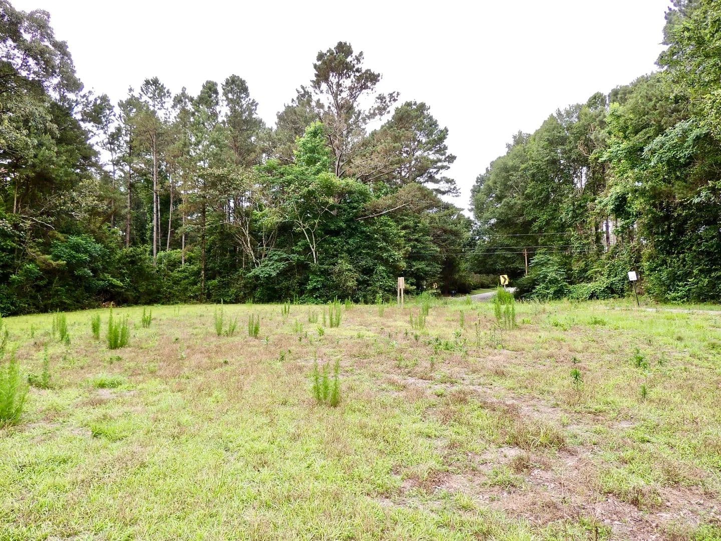 Lots & Land-Other in Sumrall - Sumrall, Mississippi, 39482