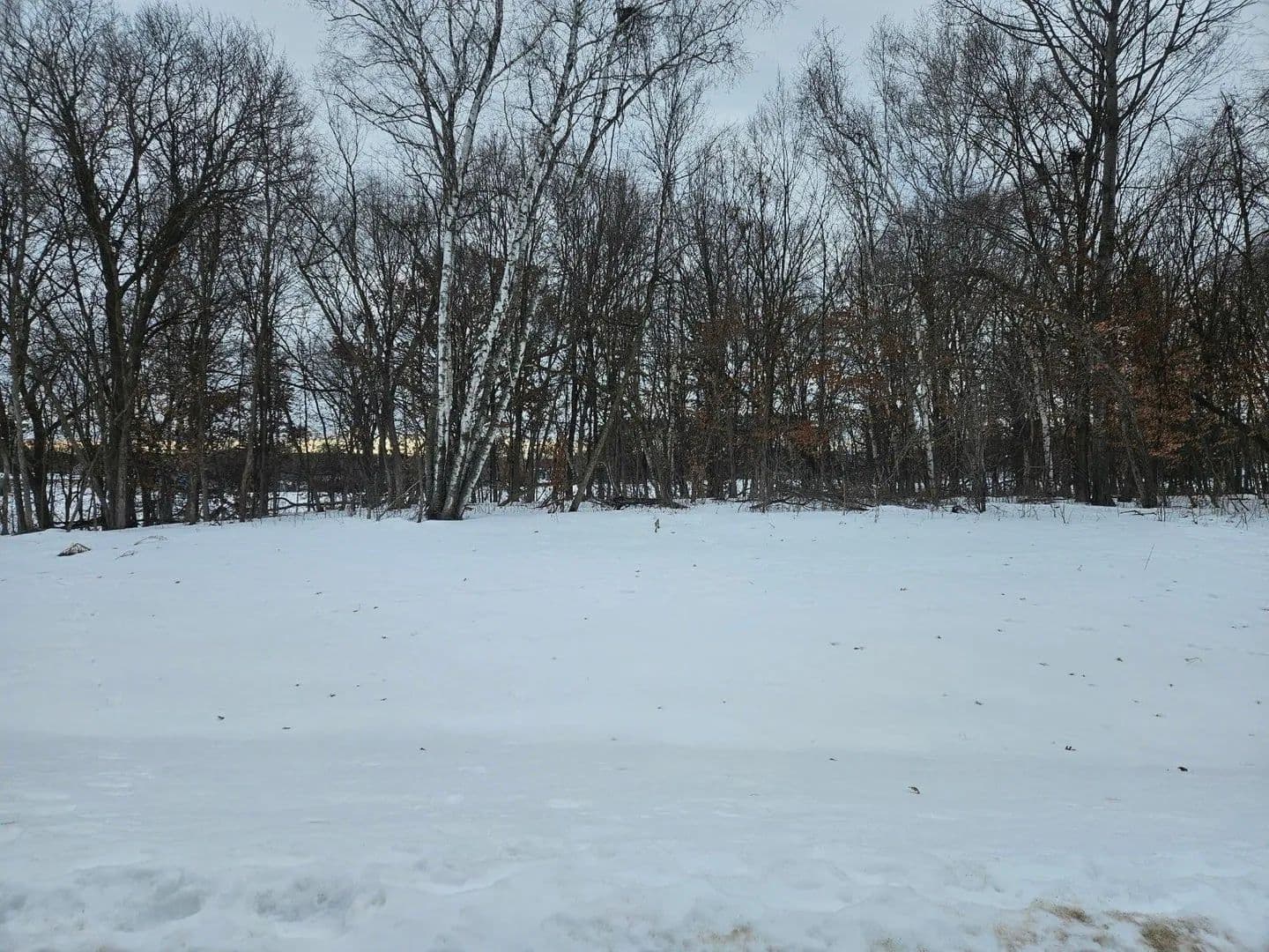 Lots & Land-Other in Saint Stephen - land for sale