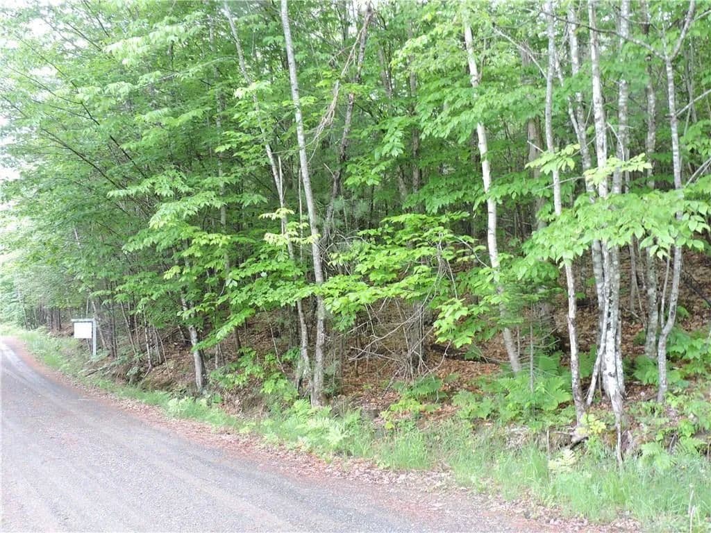 0.6 Acres of Land for Sale in Bowerbank, Maine - Bowerbank, Maine, 04426
