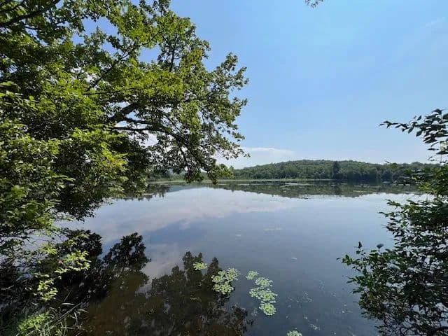Vacant Land in Swan Lake - land for sale
