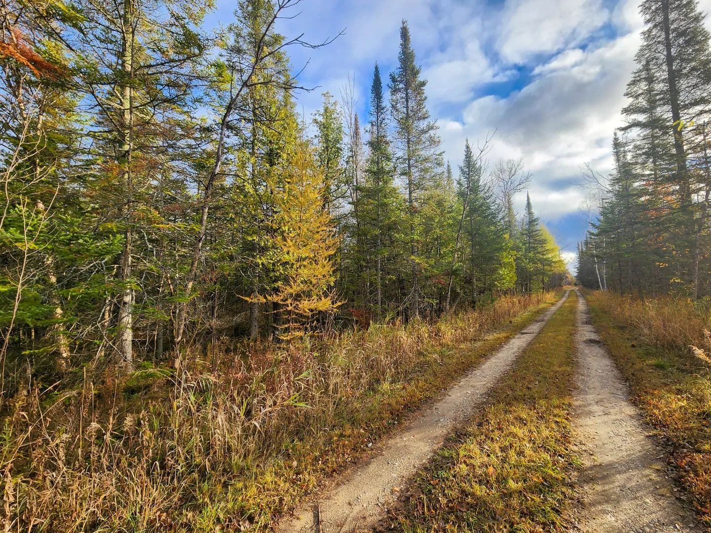 Vacant Land in Cheboygan - land for sale