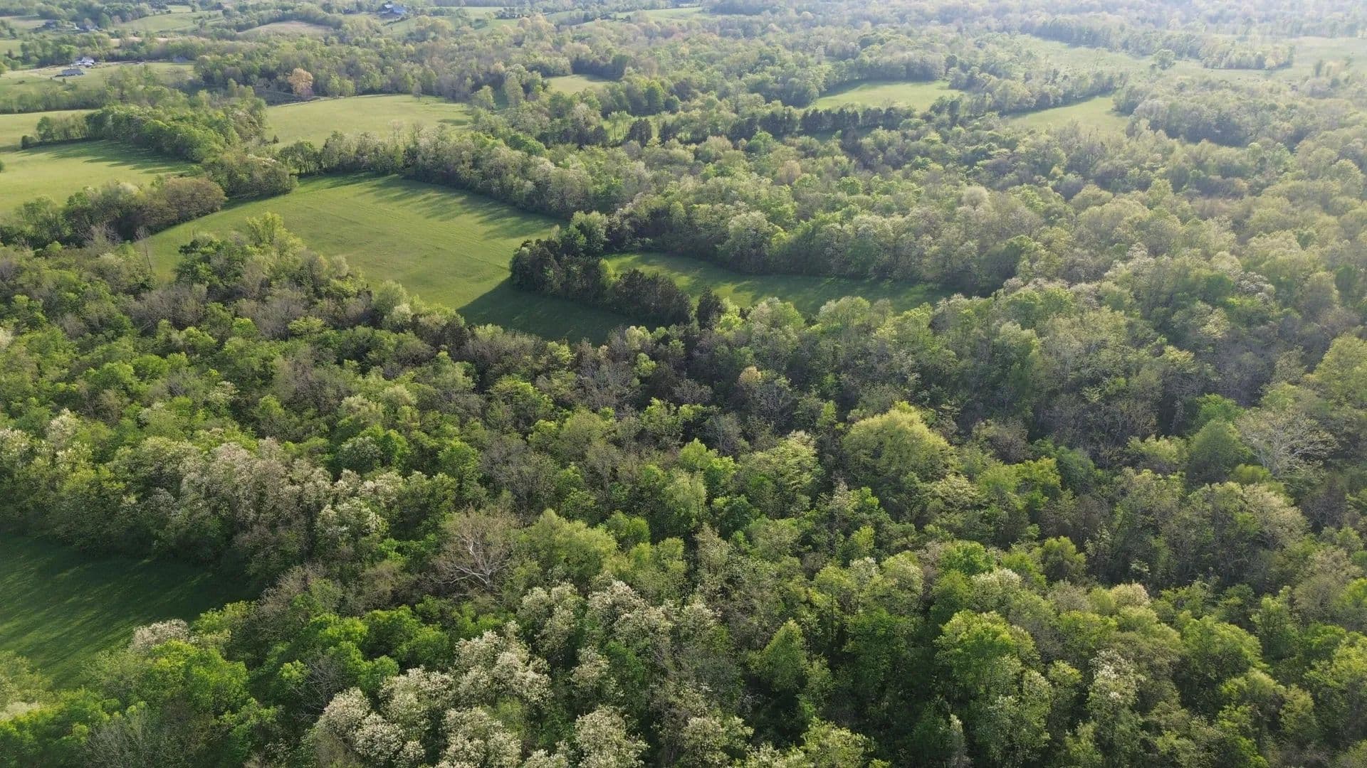 Property from 9999 Cedarmore Road - KW - Bagdad, Kentucky, 40003