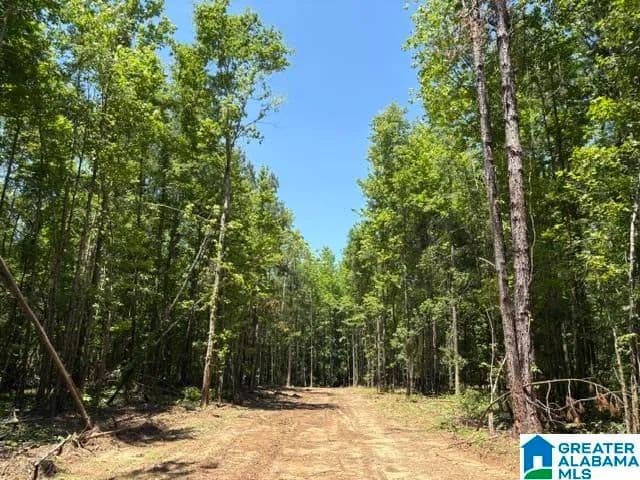 Property from 0 HIGHWAY 191 #1 - KW - land for sale