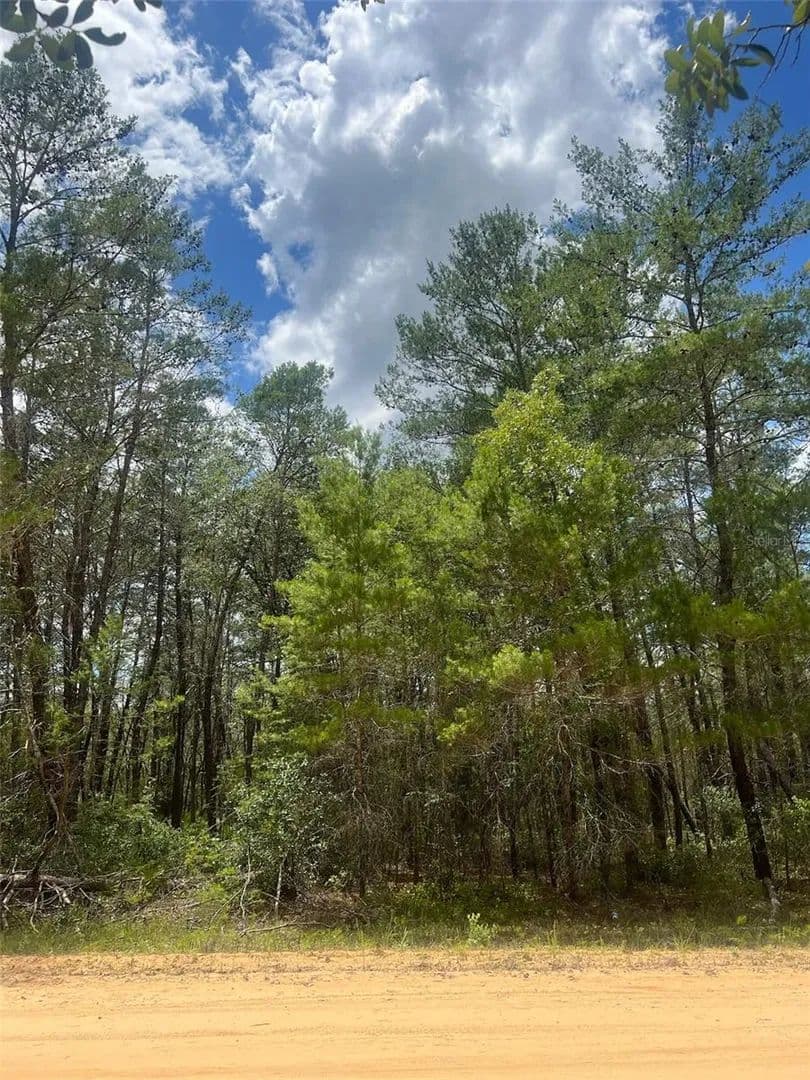 0.22 Acres of Land for Sale in Interlachen, Florida - Interlachen, Florida, 32148