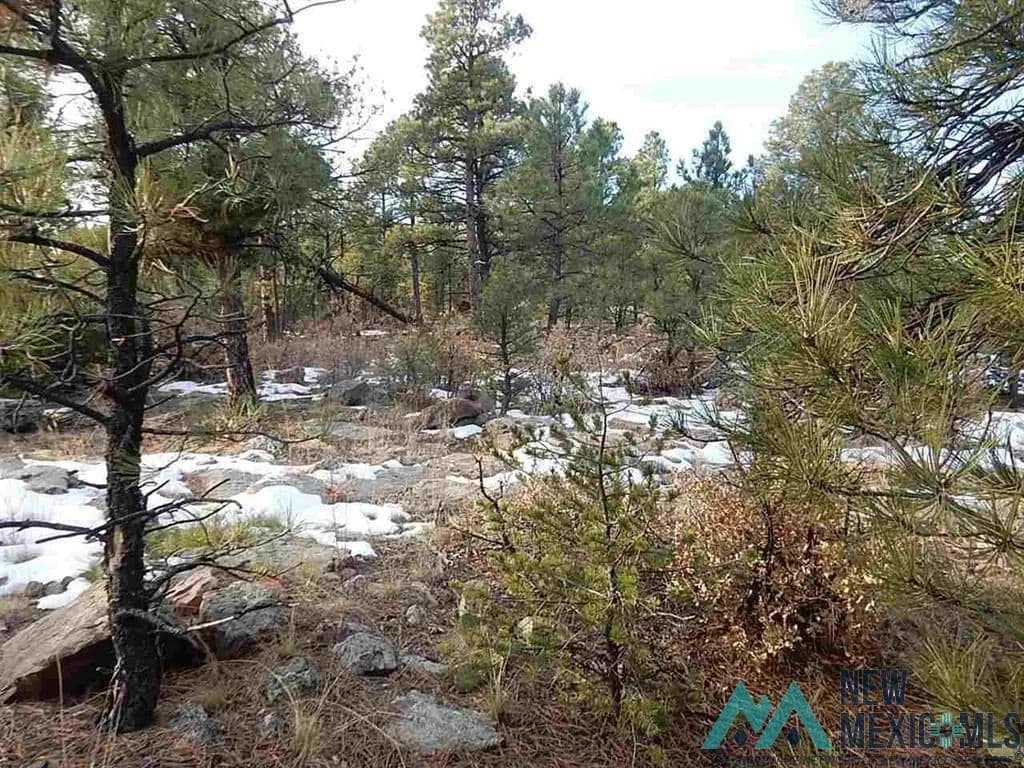 Property from TBD County Rd 13 - KW - Buena Vista, New Mexico, 87712