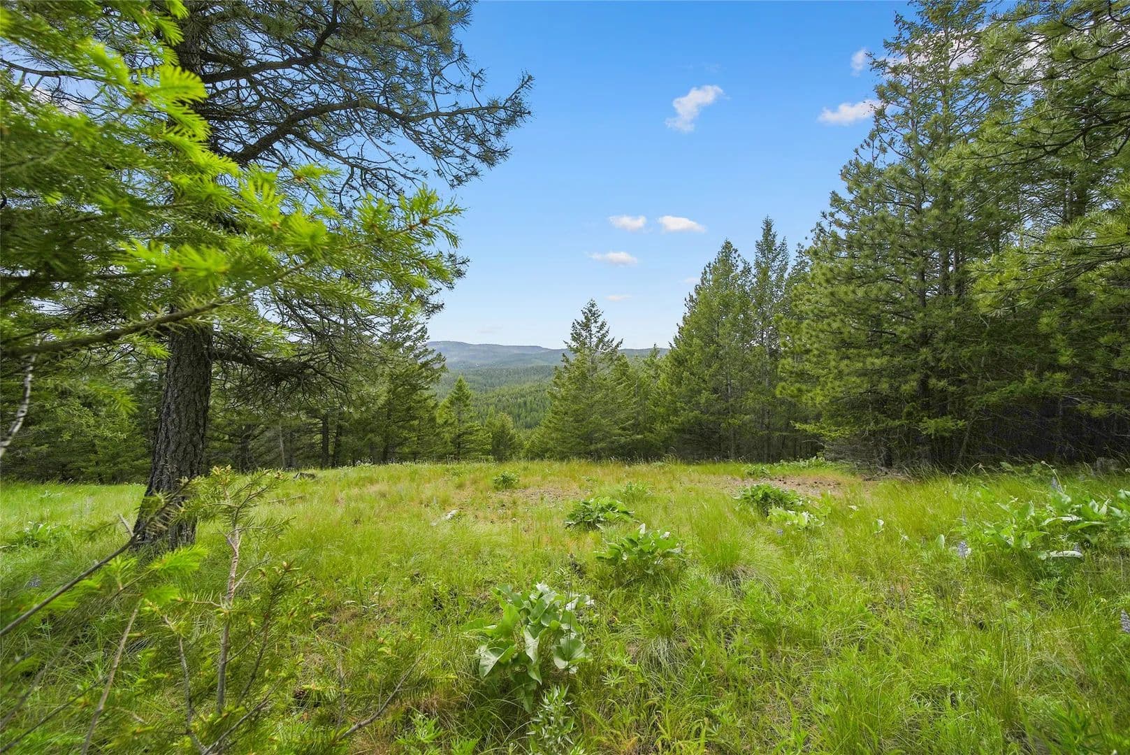 Property from 1895 Kienas Road - KW - Kalispell, Montana, 59901