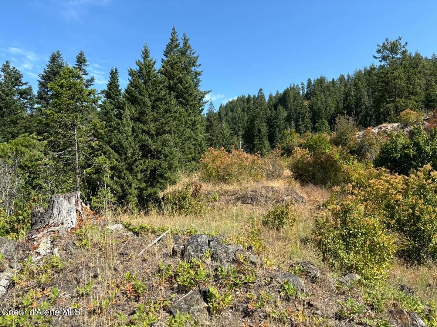 1.3 Acres of Land for Sale in Sandpoint, ID - Sandpoint, Idaho, 83864